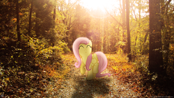 Size: 1920x1080 | Tagged: safe, artist:drakesparkle44, artist:givralix, fluttershy, g4, eyes closed, forest, happy, irl, leaves, pathway, photo, ponies in real life, shadow, solo, tree, vector