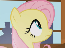 Size: 968x714 | Tagged: safe, screencap, fluttershy, pony, g4, the hooffields and mccolts, female, looking up, mare, solo