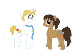 Size: 751x509 | Tagged: safe, artist:midnightthesquirrel, pony, blue sky (portal fanfic), chell, female, male, mare, ponified, portal (valve), simple background, stallion, wheatley, white background