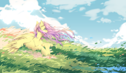 Size: 4100x2400 | Tagged: safe, artist:shinoamashiro, fluttershy, pegasus, pony, g4, cloud, cute, female, grass, high res, looking away, mare, meadow, prone, scenery, scenery porn, shyabetes, smiling, solo, spread wings, turned head, wind, windswept mane