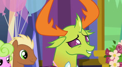 Size: 684x378 | Tagged: safe, screencap, daisy, flower wishes, meadow song, thorax, changedling, pony, celestial advice, g4, king thorax, solo focus, twilight's castle