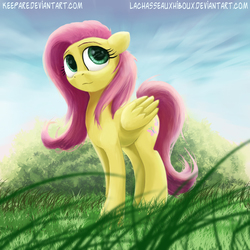 Size: 1000x1000 | Tagged: safe, artist:keepare, artist:lachasseauxhiboux, fluttershy, g4, female, folded wings, grass, looking away, looking up, solo, standing