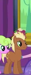 Size: 165x393 | Tagged: safe, screencap, daisy, flower wishes, meadow song, earth pony, pony, celestial advice, g4, smiling