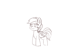 Size: 1280x1072 | Tagged: safe, artist:pabbley, rainbow dash, pony, g4, animated, female, flying, gif, monochrome, simple background, sketch, solo, white background