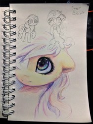 Size: 960x1280 | Tagged: safe, artist:inowiseei, sweet biscuit, pony, unicorn, g4, crayon, female, mare, photo, sketch, solo, traditional art