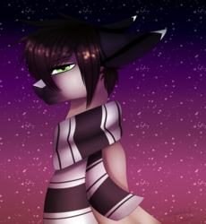 Size: 1837x2000 | Tagged: safe, artist:minelvi, oc, oc only, oc:stephen, earth pony, pony, bust, clothes, earth pony oc, male, night, outdoors, scarf, signature, solo, stallion, stars