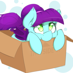 Size: 1000x1000 | Tagged: safe, artist:thebatfang, oc, oc only, oc:high pitch, bat pony, pony, bat pony oc, box, cute, ear fluff, fangs, female, filly, in a box, looking up, pony in a box, simple background, smiling, solo, wings