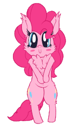 Size: 800x1200 | Tagged: safe, artist:dragonpone, derpibooru exclusive, pinkie pie, earth pony, pony, g4, :>, alternate hairstyle, animated, belly button, bipedal, blush sticker, blushing, both cutie marks, bow, c:, cheek fluff, chest fluff, cute, cuteamena, diapinkes, ear fluff, eye shimmer, female, gif, hair bow, looking at you, mare, pigtails, pinkamena diane pie, pinktails pie, shoulder fluff, simple background, smiling, solo, sweatband, tail wag, transparent background