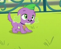 Size: 199x160 | Tagged: safe, screencap, spike, spike the regular dog, dog, equestria girls, g4, my little pony equestria girls: friendship games, male, solo