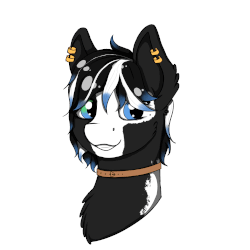 Size: 2000x2000 | Tagged: safe, artist:cuizhu, oc, oc only, pony, animated, blinking, blue eyes, bust, collar, ear piercing, female, gif, gritted teeth, hair over eyes, head, high res, looking at you, mare, piercing, simple background, smiling, solo, white background