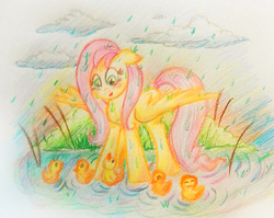 Size: 905x721 | Tagged: safe, artist:loveless-nights, fluttershy, duck, pegasus, pony, g4, colored pencil drawing, duckling, female, looking at something, looking down, mare, outdoors, rain, solo, spread wings, standing, three quarter view, traditional art, water, wing umbrella, wings
