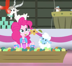 Size: 466x425 | Tagged: safe, screencap, pinkie pie, goat, hamster, sheep, equestria girls, g4, my little pony equestria girls: rainbow rocks, shake your tail, balloon, boots, cropped, cup, cute, diapinkes, flower, high heel boots, humans doing horse things, table