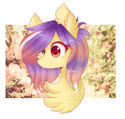 Size: 820x782 | Tagged: safe, artist:derp-berry, oc, oc only, earth pony, pony, bust, chest fluff, female, heterochromia, mare, portrait, simple background, solo, transparent background