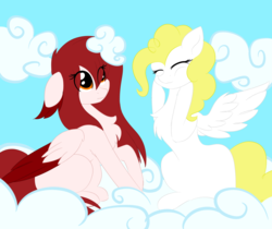 Size: 1024x860 | Tagged: safe, artist:php146, surprise, oc, oc:sora, pegasus, pony, chest fluff, cloud, eye clipping through hair, female, mare