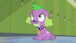 Size: 854x480 | Tagged: safe, screencap, spike, spike the regular dog, dog, equestria girls, g4, my little pony equestria girls: friendship games, male, smiling, solo