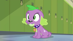 Size: 854x480 | Tagged: safe, screencap, spike, spike the regular dog, dog, equestria girls, g4, my little pony equestria girls: friendship games