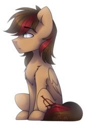 Size: 1024x1466 | Tagged: safe, artist:starlyfly, oc, oc only, pegasus, pony, male, simple background, sitting, solo, stallion, transparent background