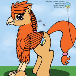 Size: 500x500 | Tagged: safe, artist:cybersquirrel, oc, oc only, oc:sunder, classical hippogriff, hippogriff, female, solo, tumblr