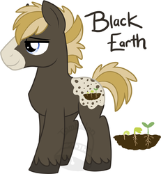 Size: 555x600 | Tagged: safe, artist:tambelon, oc, oc only, oc:black earth, earth pony, pony, male, solo, stallion, watermark
