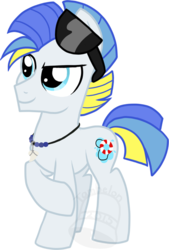 Size: 474x700 | Tagged: safe, artist:tambelon, oc, oc only, oc:wipeout, pony, jewelry, male, necklace, solo, stallion, sunglasses, watermark