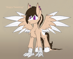 Size: 3004x2462 | Tagged: dead source, safe, artist:php122, oc, oc only, oc:buttercream scotch, hippogriff, art trade, blaze (coat marking), claws, coat markings, cute, facial markings, female, high res, solo, spread wings, wings