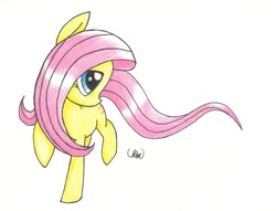 Size: 2332x1779 | Tagged: safe, artist:ethereal-desired, fluttershy, g4, female, raised hoof, raised leg, solo, traditional art