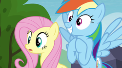 Size: 1280x720 | Tagged: safe, screencap, fluttershy, rainbow dash, pony, g4, trade ya!, smiling, varying degrees of want