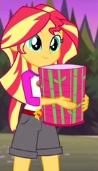 Size: 253x439 | Tagged: safe, screencap, sunset shimmer, human, equestria girls, g4, my little pony equestria girls: legend of everfree, bamboo, camp everfree outfits, clothes, cropped, female, lantern, paper lantern, shorts, solo, sun