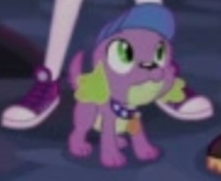 Size: 586x480 | Tagged: safe, screencap, sci-twi, spike, spike the regular dog, twilight sparkle, dog, equestria girls, g4, my little pony equestria girls: legend of everfree, cap, clothes, converse, female, hat, low quality, shoes, sneakers, socks, solo