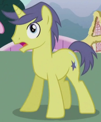 Size: 358x434 | Tagged: safe, screencap, comet tail, pony, unicorn, g4, slice of life (episode), cropped, male, solo, stallion