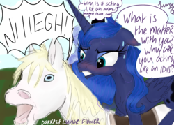 Size: 4823x3445 | Tagged: safe, artist:darkest-lunar-flower, princess luna, alicorn, horse, pony, g4, absurd resolution, confused, confusion, female, hoers, horse-pony interaction, neigh, ponies riding horses, riding