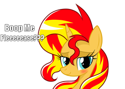 Size: 4328x3096 | Tagged: safe, artist:lovehtf421, sunset shimmer, pony, unicorn, g4, blushing, boop, boop request, bronybait, bust, dialogue, female, high res, lidded eyes, looking at you, portrait, simple background, smiling, solo, white background