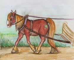 Size: 1916x1555 | Tagged: safe, artist:ciumostwo, big macintosh, earth pony, horse, pony, g4, harness, male, solo, stallion, tack, traditional art