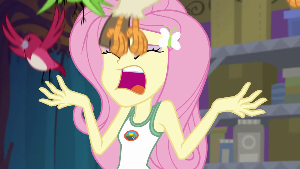 1377525 - safe, screencap, fluttershy, bird, songbird, equestria girls, g4, my  little pony equestria girls: legend of everfree, clothes, female, open  mouth, screaming, sleeveless, spread wings, talons, tank top, wings -  Derpibooru