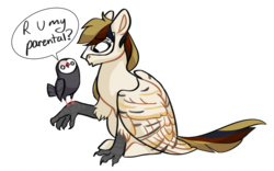 Size: 1024x639 | Tagged: safe, artist:netoey, oc, oc only, oc:silent flight, hippogriff, owl, simple background, talons, transparent background