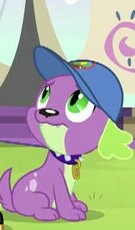 Size: 135x230 | Tagged: safe, screencap, spike, spike the regular dog, dog, equestria girls, g4, my little pony equestria girls: legend of everfree, cap, hat, looking up, male, paws, solo