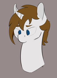 Size: 801x1087 | Tagged: safe, artist:terror bay, oc, oc only, oc:robpony, pony, unicorn, bust, male, no pupils, simple background, solo, stallion