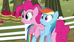 Size: 1920x1090 | Tagged: safe, screencap, pinkie pie, rainbow dash, pony, g4, the super speedy cider squeezy 6000, apple, basket, bushel basket, food, tree