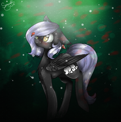 Size: 742x750 | Tagged: safe, artist:smallspark, oc, oc only, oc:cloudy night, pegasus, pony, female, mare, solo