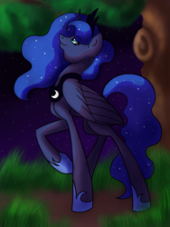 Size: 1500x2000 | Tagged: safe, artist:stereo-of-the-heart, princess luna, pony, g4, female, night, raised hoof, solo