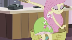 Size: 1100x618 | Tagged: safe, screencap, fluttershy, equestria girls, g4, hamstocalypse now, female, musical instrument, solo, tambourine