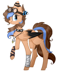 Size: 1089x1331 | Tagged: safe, artist:derp-berry, oc, oc only, pegasus, pony, choker, female, goggles, mare, solo, spiked choker