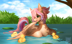 Size: 1300x794 | Tagged: safe, artist:renciel, oc, oc only, oc:sweet skies, duck, pegasus, pony, lake, lilypad, solo, tree, water