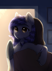 Size: 3054x4118 | Tagged: safe, artist:aphphphphp, oc, oc only, oc:rune riddle, human, pegasus, pony, backlighting, female, high res, holding, holding a pony, hug, mare