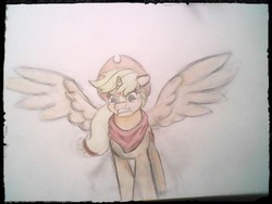 Size: 1600x1200 | Tagged: safe, artist:schmoe-joe, applejack, alicorn, pony, g4, alicornified, angry, applecorn, bandana, female, neckerchief, princess applejack, race swap, solo, traditional art