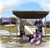 Size: 2580x2472 | Tagged: safe, artist:otakuap, spike, twilight sparkle, dragon, pony, unicorn, g4, book, bus stop, clothes, duo, duo male and female, eyes closed, female, field, high res, hoodie, male, mare, reading, resting, scarf, sitting, sleeping, snow, spring, sweater, unicorn twilight, waiting, wingless spike