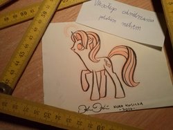 Size: 2560x1920 | Tagged: safe, artist:deyrasd, starlight glimmer, pony, unicorn, g4, autograph, charity auction, kora kosicka, meter, poland, polish