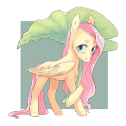 Size: 1200x1200 | Tagged: safe, artist:amphoera, fluttershy, pegasus, pony, g4, beanbrows, crossed hooves, eyebrows, female, leaf, leaf umbrella, looking at you, no mouth, simple background, solo, wings