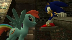 Size: 1366x768 | Tagged: safe, artist:migueruchan, rainbow dash, g4, 3d, crossover, gmod, male, sonic the hedgehog, sonic the hedgehog (series)