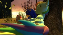 Size: 1366x768 | Tagged: safe, artist:migueruchan, rainbow dash, g4, 3d, crossover, gmod, male, sonic the hedgehog, sonic the hedgehog (series)